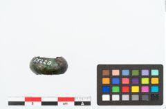 Foto von Bronzehohlblechring (NHMW-PRAE-025220)